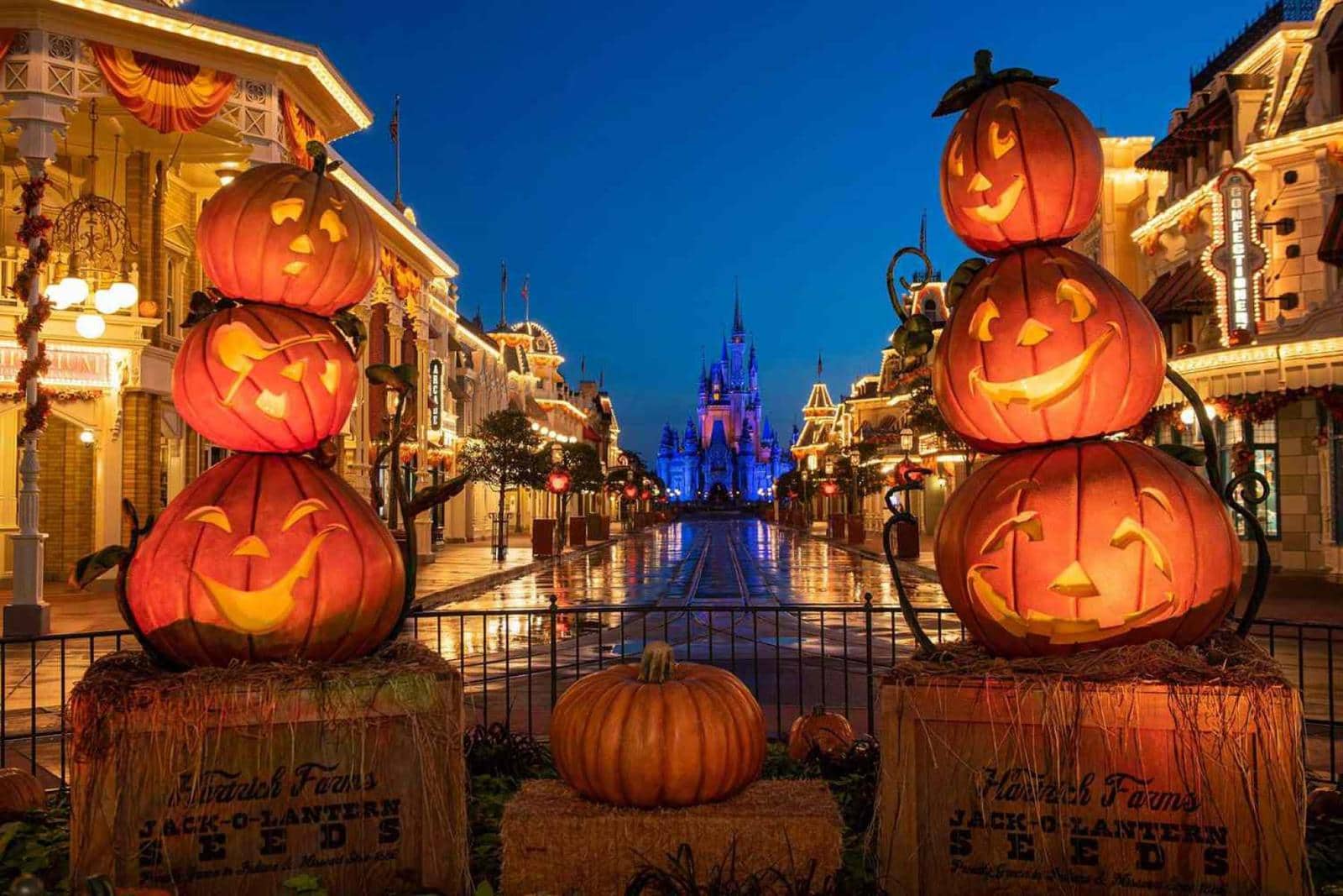 Main Street decorada con calabazas y el castillo iluminado en Halloween, Magic Kingdom, Walt Disney World