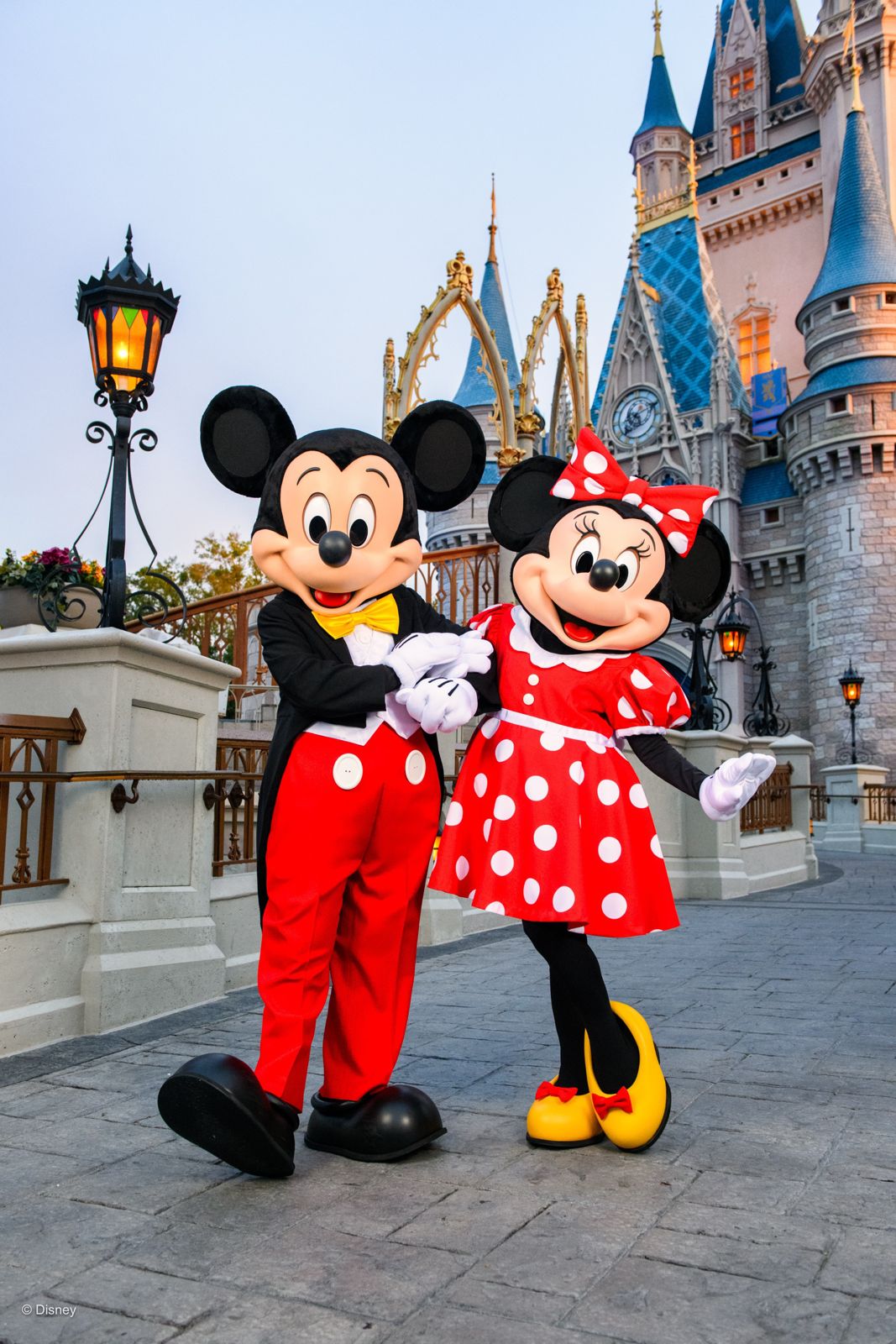 Walt Disney World