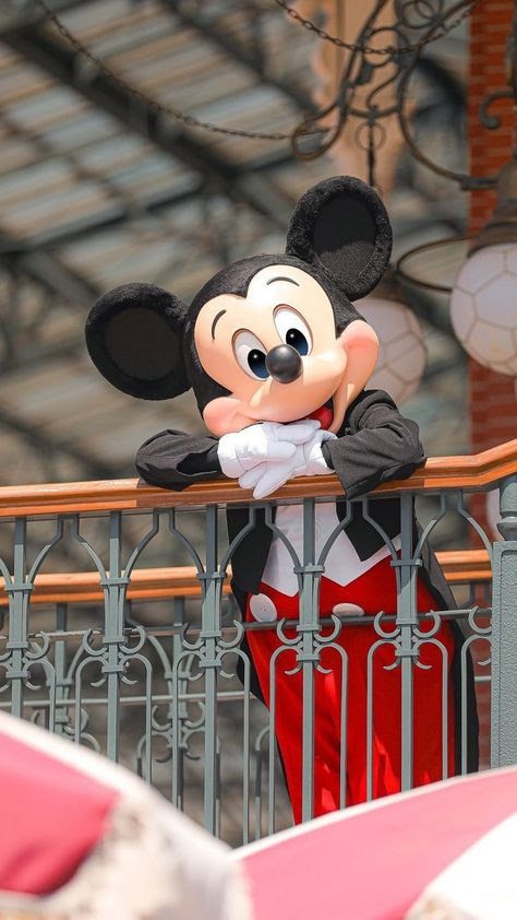Cómo moverse dentro de Disney World